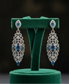 Neme Fashions Elegant Sparkle Earrings